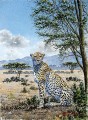 Thiongo Cheetah on the Savannah panther